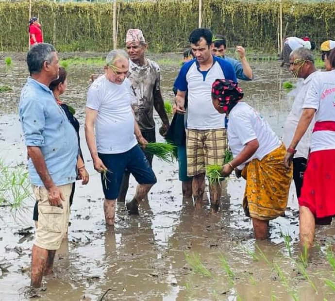 आज असार १५ : धान दिवस र दही चिउराको सांस्कृतिक पर्व मनाइँदै