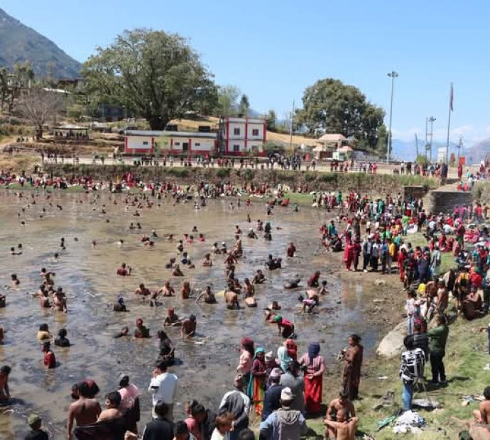 कमल दहबाट कमलको जरा निकालिँदै