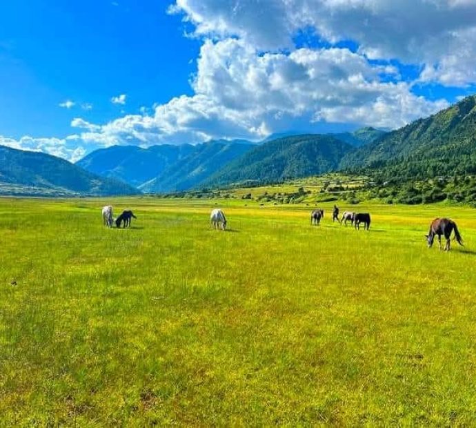 ढोरपाटन पुगे २३ हजार पर्यटक
