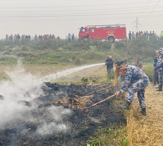 दाईँ गर्न राखिएको धानमा आगजनी
