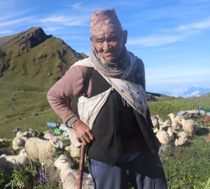 ७० वर्षदेखि हिमालको फेदीमा भेडागोठालो