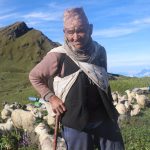 ७० वर्षदेखि हिमालको फेदीमा भेडागोठालो
