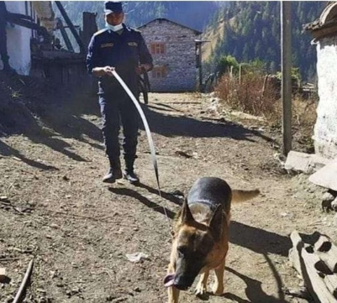 मुगु घटनाको रहस्य खुल्यो ! पैसाको लागि आफ्नैले हत्या गरे