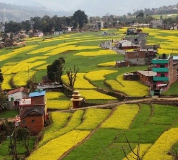 आन्तरिक पर्यटकको गन्तव्य बन्दै रत्नेचौर