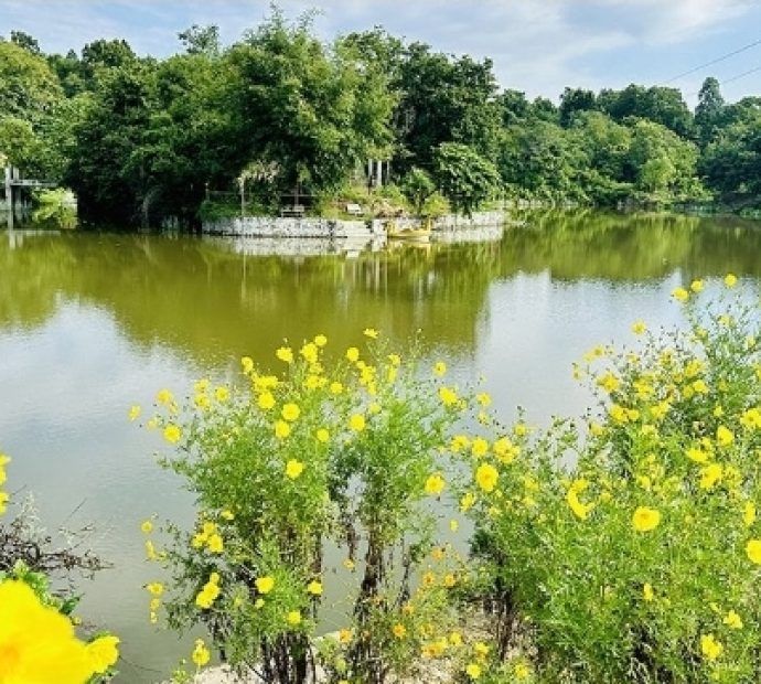 पर्यटक लोभ्याउने सिरहाको ‘गोसाईं डाँडा ताल’