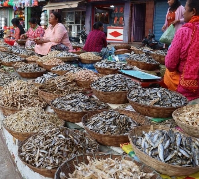 धरानमा फस्टाउँदै सिद्रा व्यापार