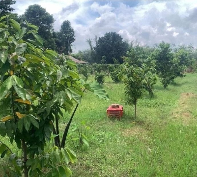 उर्वर जग्गा रेल्वे ट्र्याकमा परेपछि मर्कामा किसान