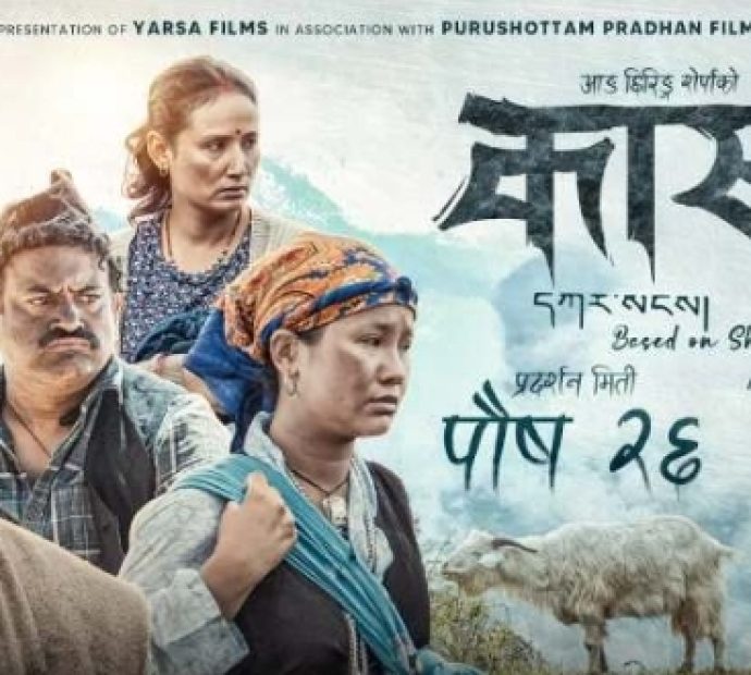 चलचित्र ‘कार्साङ’लाई कति दिइयो शो ?