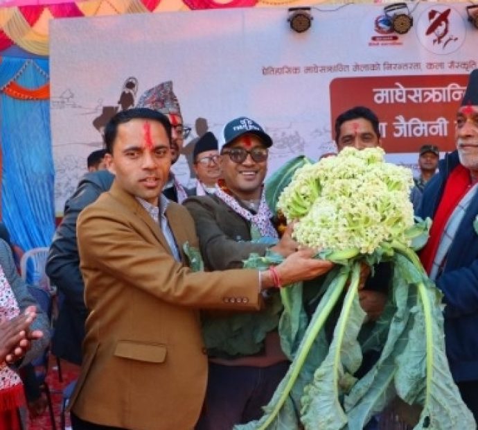 कृषि मन्त्रीलाई ९ किलोको काउली उपहार !