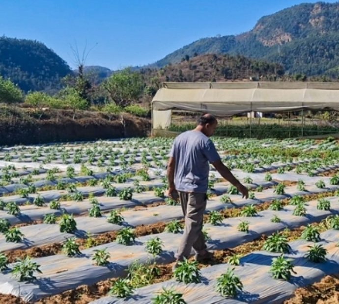 ‘अर्काको मेलापर्म गर्ने ढकाल आज सफल व्यवसायी’