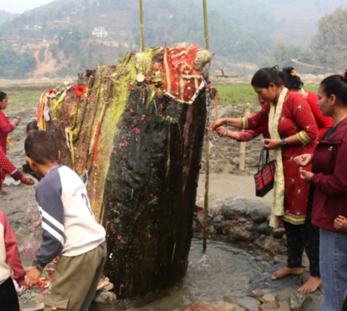 रूखको ठुटोबाट पानी आएपछि…