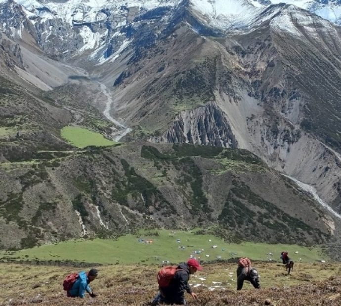 छेकम्पारका स्थानीय यार्सा टिप्न लेकतिर