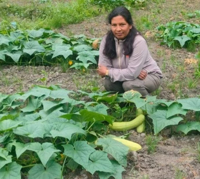 उपमेयर क्षेत्रीको लोभलाग्दो काँक्राखेती