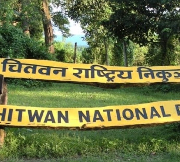 निकुञ्जभित्र असार १५ देखि सफारी बन्द