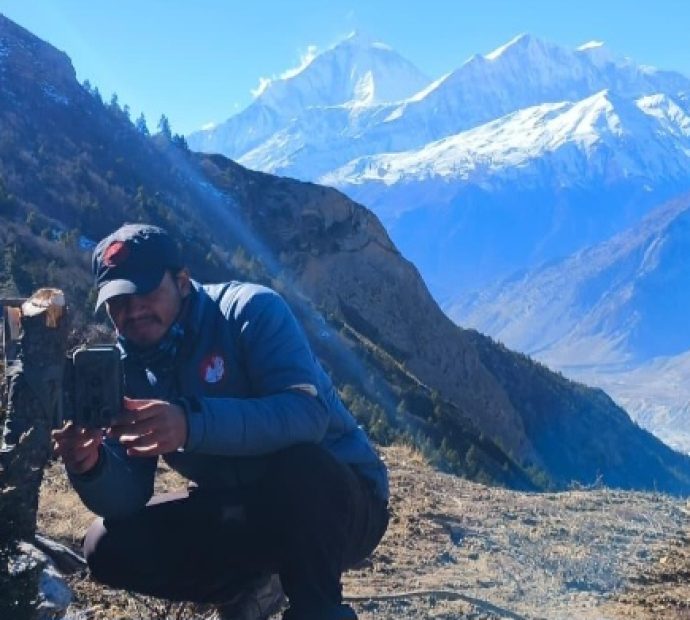 मुस्ताङमा हिउँ चितुवा अध्ययन गर्न ‘क्यामेरा ट्यापिङ’ गरिँदै