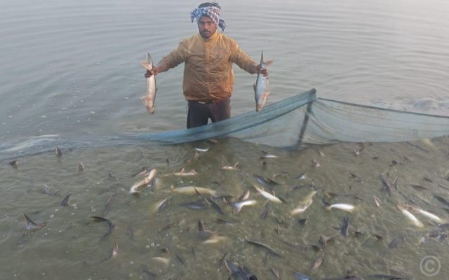 माछापालनबाट आत्मनिर्भर बन्दै शैलेन्द्र