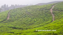 कोशी पर्यटन वर्ष : भारतीय पर्यटकको रोजाइमा पूर्वी पहाड