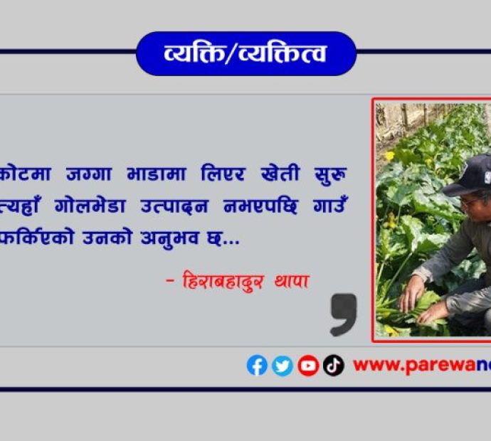 तरकारी खेतीबाट बार्षिक ७ लाख कमाउँदै हिराबहादुर