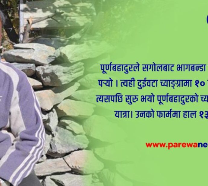 च्याङ्ग्रापालनमा रमाएका पूर्णबहादुर