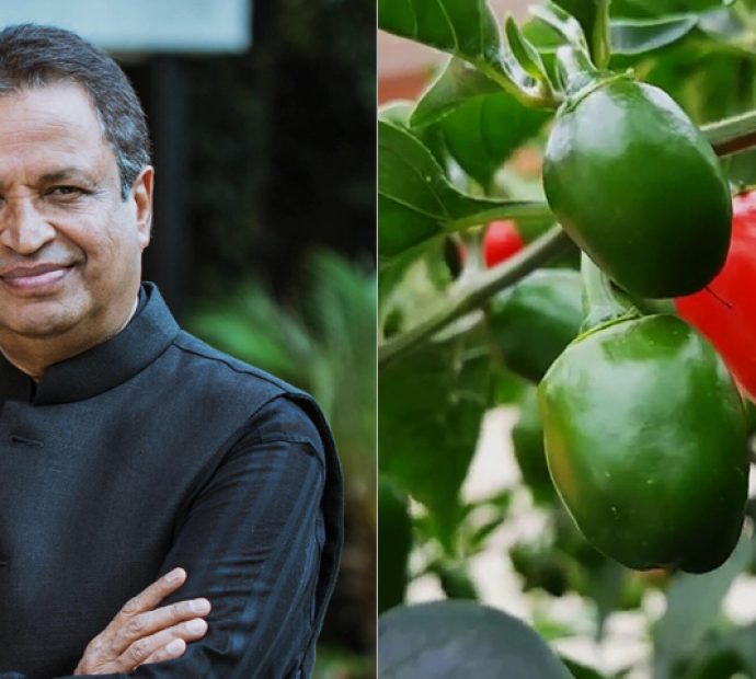 खर्बपति विनोद चौधरी ‘अकबरे’ खुर्सानी फलाउँदै