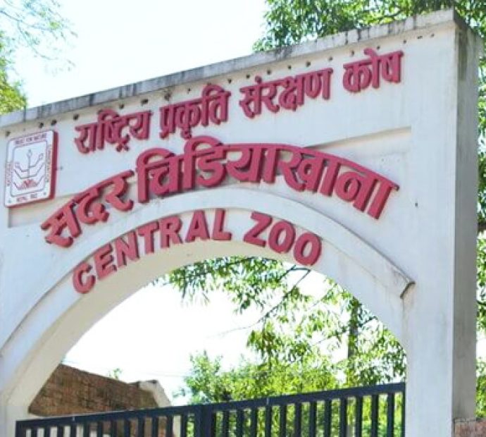 सदर चिडियाखानाको आम्दानी १७ करोड ७५ लाख, लक्ष्यमा पुग्न सकेन