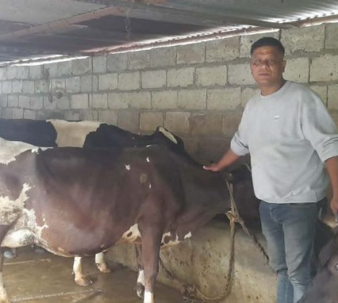 गाईपालनबाट मासिक २ लाख