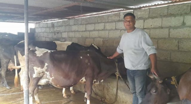 गाईपालनबाट मासिक २ लाख