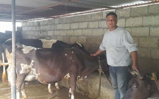 गाईपालनबाट मासिक २ लाख