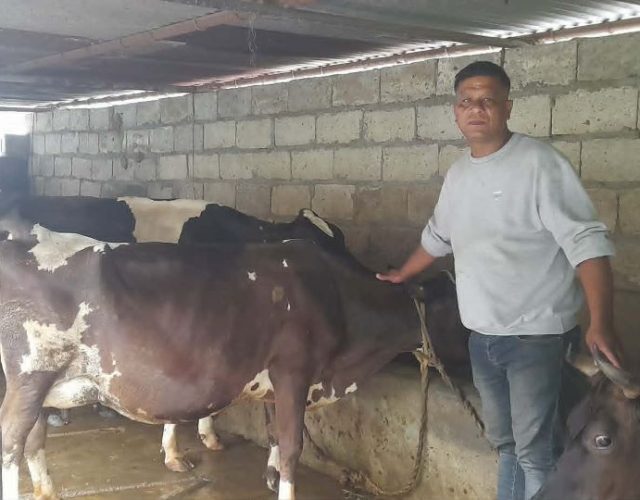 गाईपालनबाट मासिक २ लाख
