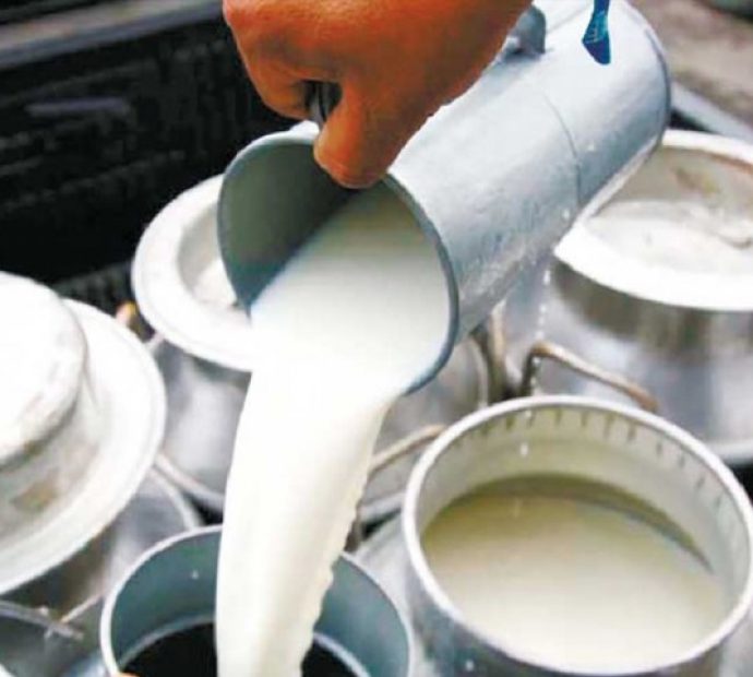 चितवनमा ७५ करोडको दूध र घ्यू गोदाममा थन्कियो