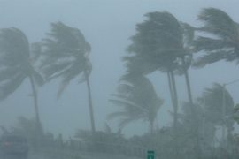 हावाहुरी र असिनाले झापामा अर्बौंको क्षति