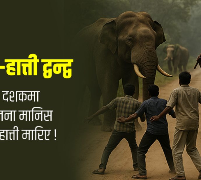 झापामा मानव-हात्ती द्वन्द्व : १५ वर्षमा ७२ जनाको मृत्यु