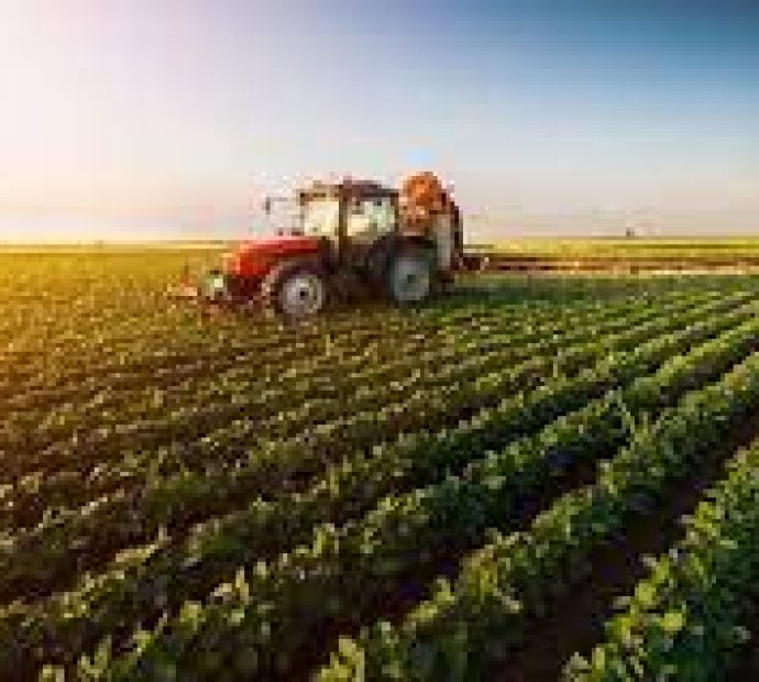 कृषि क्षेत्रको आधुनिकीकरण गर्न महोत्सव