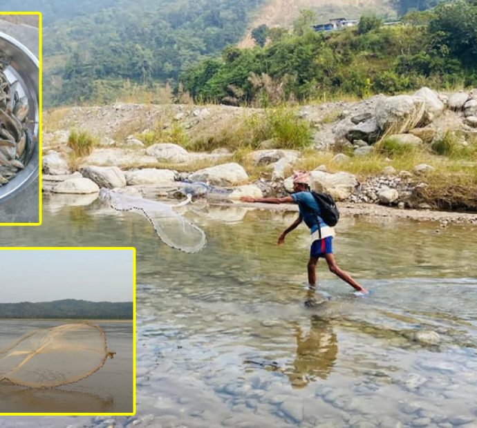 माछा मारेर गर्जो टार्नेहरू समस्यामा