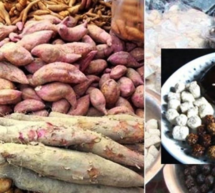 आज माघे संक्रान्ति पर्व, देशैभर सार्वजनिक बिदा