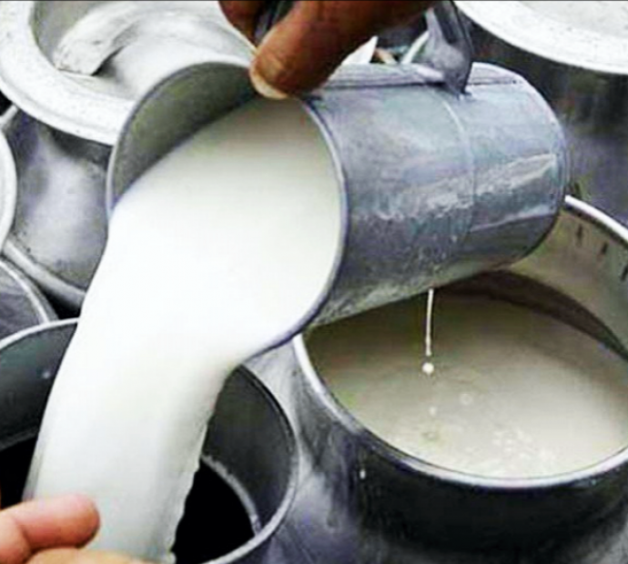 दूध अभावले ‘चितवन मिल्क’ बन्द