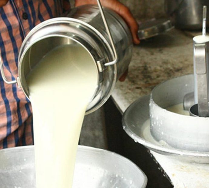 आज विश्व दूध दिवस मनाइँदै