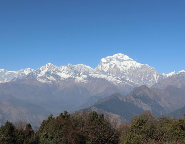 सूर्योदयको दृश्यावलोकन गर्न ‘दर्मिजा भ्यू प्वाइन्ट’