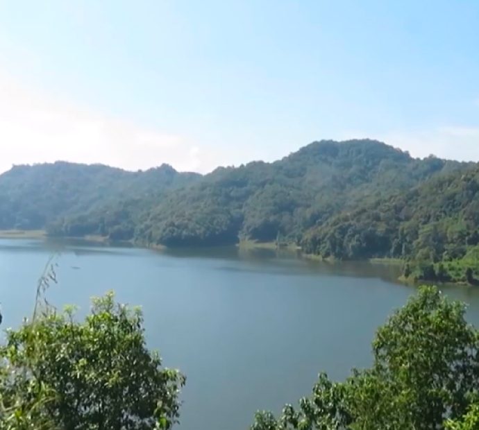 पाहुना चरालाई वार्षिक ५० लाखको माछा