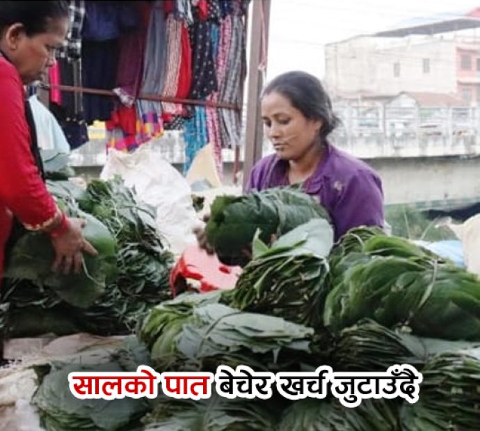 सालको पात बेचेर खर्च जुटाउँदै महिला