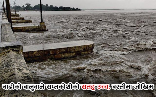 सप्तकोसीमा पानीको बहाव बढ्यो, ब्यारेजका ढोका खोलिए