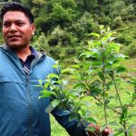 सार्वजनिक जग्गामा गाउँपालिकाको स्याउ बगैँचा