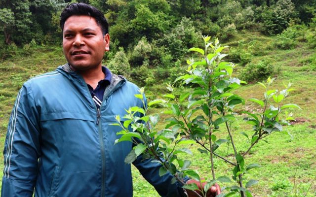 सार्वजनिक जग्गामा गाउँपालिकाको स्याउ बगैँचा